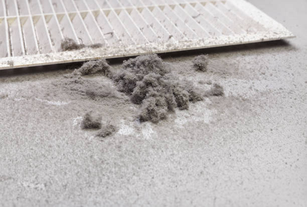 Best Residential Air Duct Cleaning  in Benson, MN