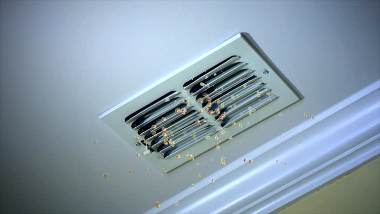 Best Ductwork Cleaning Services  in Benson, MN